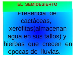 EL SEMIDESIERTO

Presencia de
cactáceas,
xerófitas(almacenan
agua en sus tallos) y
hierbas que crecen en
épocas de lluvias.

 