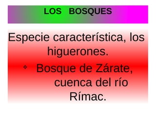 LOS BOSQUES

Especie característica, los
higuerones.
v
Bosque de Zárate,
cuenca del río
Rímac.

 