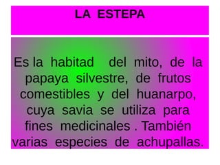 LA ESTEPA

Es la habitad del mito, de la
papaya silvestre, de frutos
comestibles y del huanarpo,
cuya savia se utiliza para
fines medicinales . También
varias especies de achupallas.

 