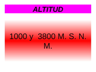 ALTITUD

1000 y 3800 M. S. N.
M.

 