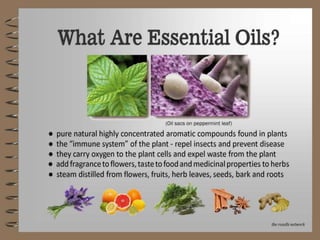 Young Living - Essential Oils Natural Healthcare and Healing
