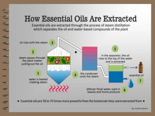 Young Living - Essential Oils Natural Healthcare and Healing