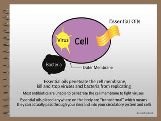 Young Living - Essential Oils Natural Healthcare and Healing