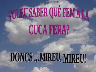 VOLEU SABER QUÈ FEM A LA DONCS ...  CUCA FERA? MIREU! MIREU, 