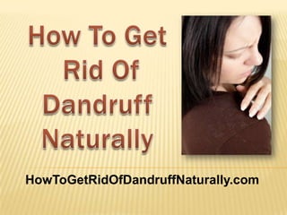 How To Get Rid Of Dandruff Naturally HowToGetRidOfDandruffNaturally.com 