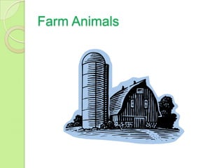 Farm Animals   