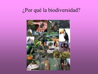 ¿Por qué la biodiversidad?
 