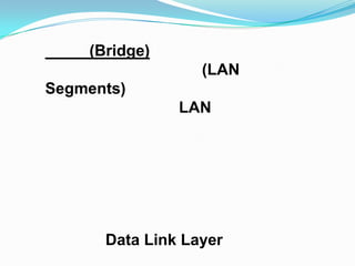 (Bridge)
                  (LAN
Segments)
               LAN




      Data Link Layer
 