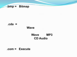 .bmp = Bitmap




.cda =
           Wave

                 Wave    MP3
                  CD Audio


.com = Execute
 