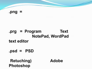 .png =



.prg = Program          Text
            NotePad, WordPad
text editor

.psd = PSD

Retuching)         Adobe
Photoshop
 