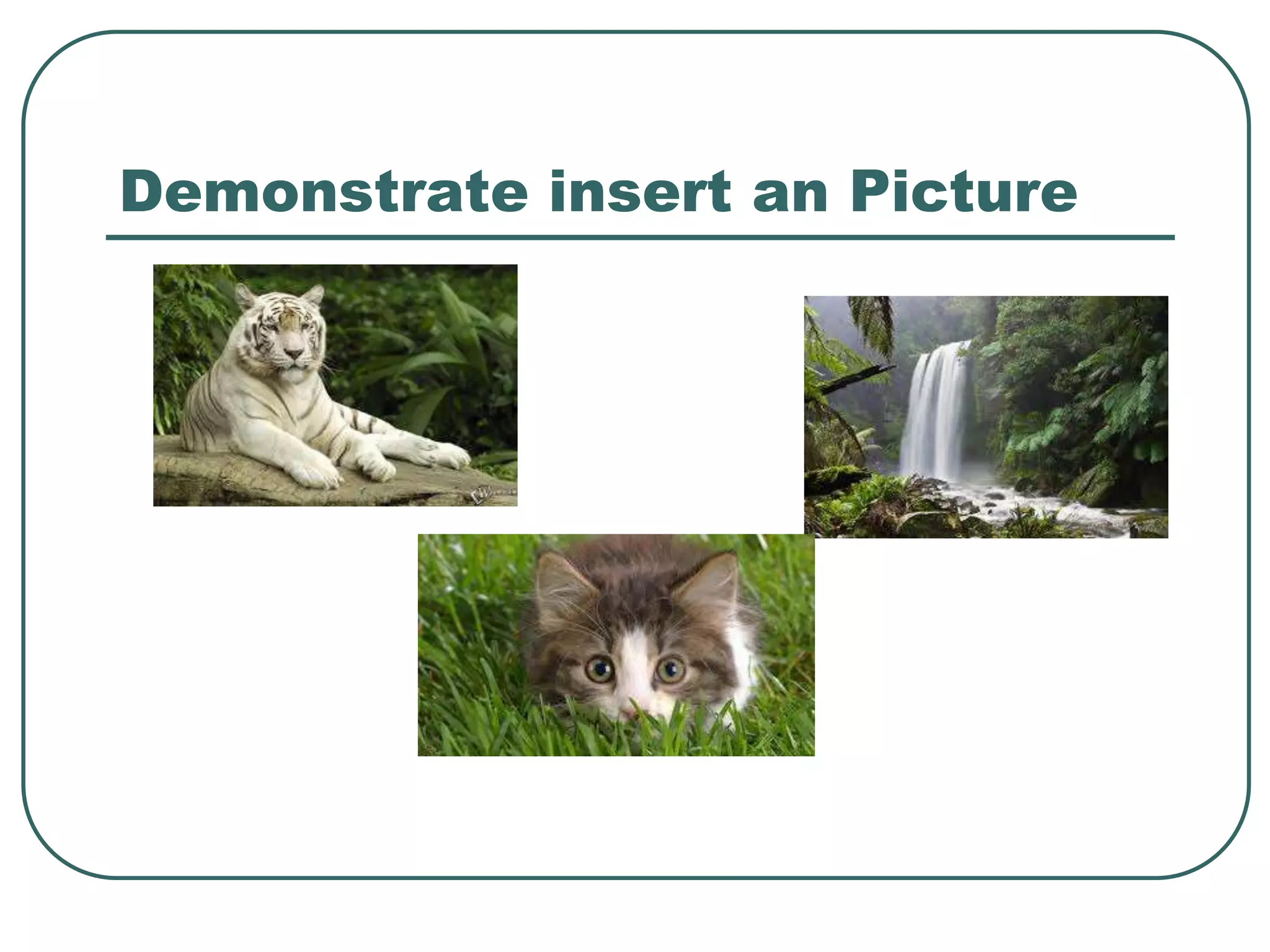 Demonstrate insert an Picture
 