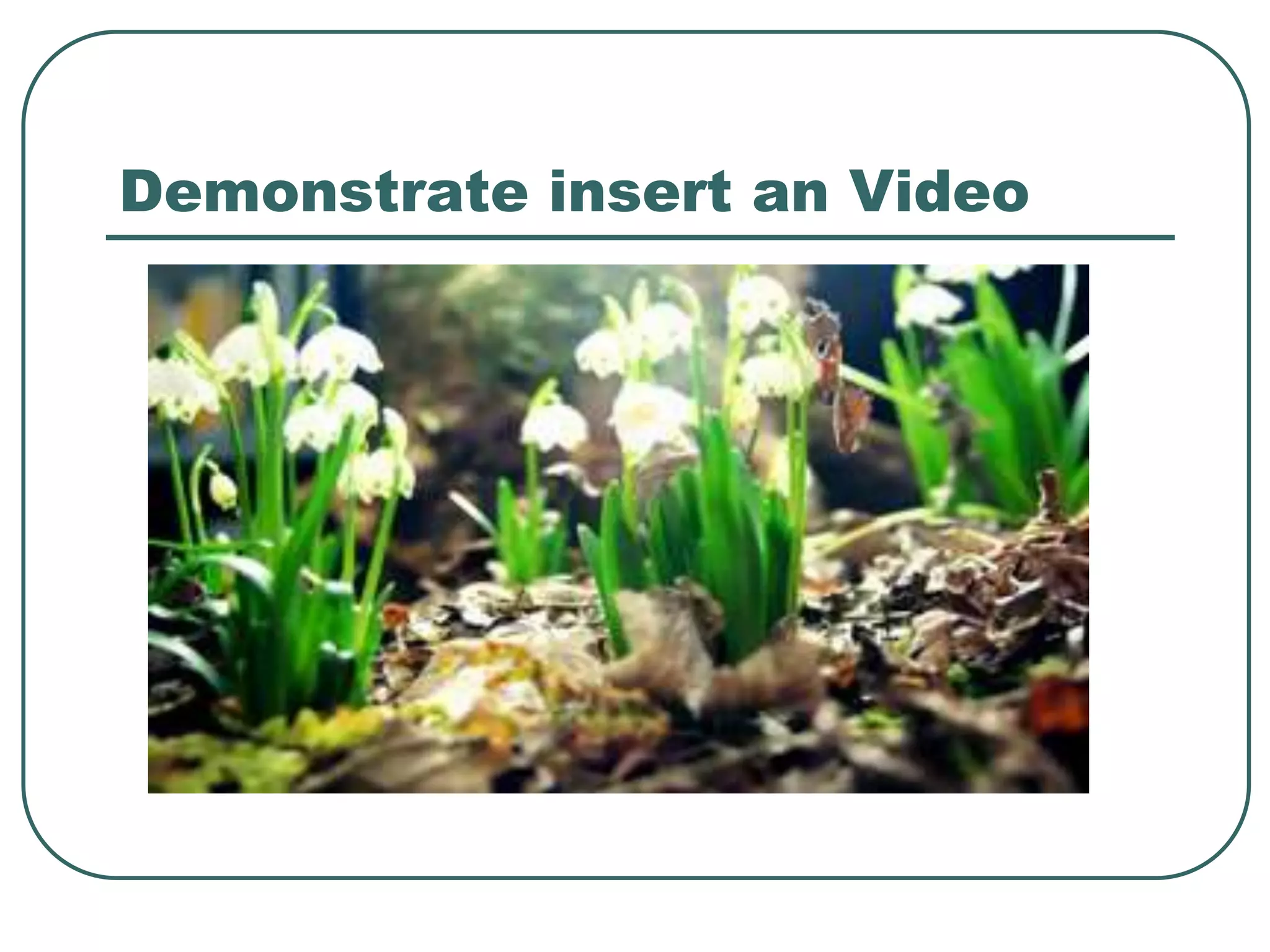 Demonstrate insert an Video
 