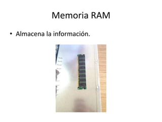 Memoria RAM
• Almacena la información.
 