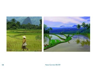 Powerpoint 1   Recursos HíDricos