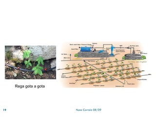 Powerpoint 1   Recursos HíDricos