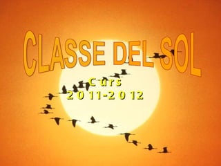 Curs 2011-2012 