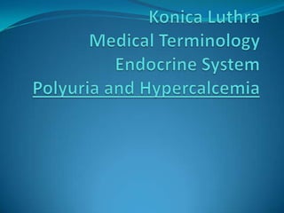 Konica LuthraMedical TerminologyEndocrine SystemPolyuriaand Hypercalcemia 