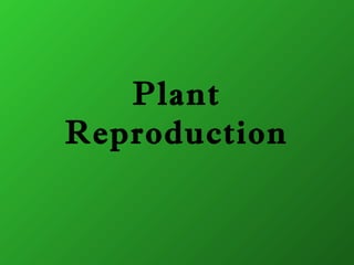 Plant 
Reproduction 
 