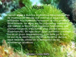 Algas Se llaman  algas  a diversos organismos fotosintetizadores de organización sencilla que viven en el agua o en ambientes muy húmedos.Pertenecen al reino protista y técnicamente, las algas son los organismos autótrofos que realizan la fotosíntesis oxigénica (fotosíntesis que produce oxígeno), si excluimos a las plantas terrestres (Embriophyta). Se trata de un grupo polifilético o artificial (no es un grupo de parentesco), y no tiene por lo tanto ya uso en la clasificación científica moderna, aunque sigue teniendo utilidad en la descripción de los ecosistemas acuáticos. 