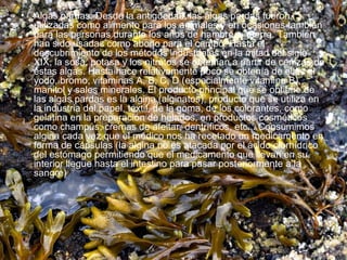 Algas pardas: Desde la antigüedad, las algas pardas fueron utilizadas como alimento para los animales y en ocasiones también para las personas durante los años de hambre y guerra. También han sido usadas como abono para el campo. Hasta el descubrimiento de los métodos industriales en la mitad del siglo XIX, la sosa, potasa y los nitratos se obtenían a partir de cenizas de estas algas. Hasta hace relativamente poco se obtenía de ellas el yodo, bromo, vitaminas A, B, C, D (especialmente vitamina B), manitol y sales minerales. El producto principal que se obtiene de las algas pardas es la algina (alginatos), producto que se utiliza en la industria del papel, textil, de la goma, de los colorantes, como gelatina en la preparación de helados, en productos cosméticos como champús, cremas de afeitar, dentríficos, etc... Consumimos algina cada vez que el médico nos ha recetado un medicamento en forma de cápsulas (la algina no es atacada por el ácido clorhídrico del estómago permitiendo que el medicamento que llevan en su interior llegue hasta el intestino para pasar posteriormente a la sangre) 