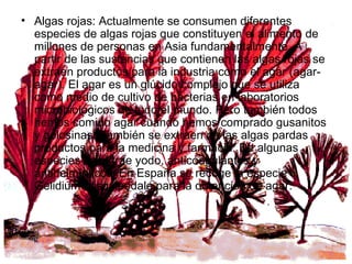 Algas rojas: Actualmente se consumen diferentes especies de algas rojas que constituyen el alimento de millones de personas en Asia fundamentalmente. A partir de las sustancias que contienen las algas rojas se extraen productos para la industria como el agar (agar-agar). El agar es un glúcido complejo que se utiliza como medio de cultivo de bacterias en laboratorios microbiológicos de todo el mundo. Pero también todos hemos comido agar cuando hemos comprado gusanitos y golosinas. También se extraen de las algas pardas productos para la medicina y farmacia. De algunas especies se extrae yodo, anticoagulantes y antihelmínticos. En España se recoge la especie Gelidium sesquipedale para la obtención de agar. 
