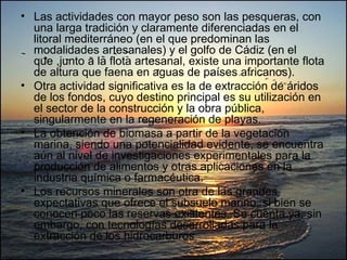 Las actividades con mayor peso son las pesqueras, con una larga tradición y claramente diferenciadas en el litoral mediterráneo (en el que predominan las modalidades artesanales) y el golfo de Cádiz (en el que ,junto a la flota artesanal, existe una importante flota de altura que faena en aguas de países africanos).  Otra actividad significativa es la de extracción de áridos de los fondos, cuyo destino principal es su utilización en el sector de la construcción y la obra pública, singularmente en la regeneración de playas.  La obtención de biomasa a partir de la vegetación marina, siendo una potencialidad evidente, se encuentra aún al nivel de investigaciones experimentales para la producción de alimentos y otras aplicaciones en la industria química o farmacéutica. Los recursos minerales son otra de las grandes expectativas que ofrece el subsuelo marino, si bien se conocen poco las reservas existentes. Se cuenta ya, sin embargo, con tecnologías desarrolladas para la extracción de los hidrocarburos  