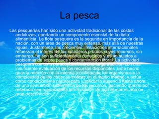 La pesca Las pesquerías han sido una actividad tradicional de las costas andaluzas, aportando un componente esencial de la dieta alimenticia. La flota pesquera es la segunda en importancia de la nación, con un área de pesca muy extensa, más allá de nuestras aguas. Justamente, las crecientes limitaciones internacionales refuerzan el interés de los caladeros propios cuyos recursos, sin embargo, no son suficientemente conocidos y están sujetos a problemas de sobre pesca y contaminación litoral .La actividad pesquera combina paradójicamente una larga tradición con una insuficiente evaluación de los recursos disponibles .Este hecho guarda relación con la intensa movilidad de los organismos y la complejidad de las cadenas tróficas en el medio marino, y actúa como condicionante natural para justificar la ausencia hasta ahora de una evaluación sistemática de los recursos, haciendo que no por reiterada sea menos cierta la afirmación de que el mar es aún un gran desconocido .  