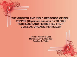 THE GROWTH AND YIELD RESPONSE OF BELL PEPPER ( Capsicum annuum L .)   TO FISH FERTILIZER AND FERMENTED FRUIT  JUICE AS ORGANIC FERTILIZER Francis Austin S. Diaz Marianne Joy S. Baladjay Frauline C. Tadle 