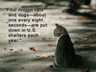 ““Four million catsFour million cats
and dogs—aboutand dogs—about
one every eightone every eight
seconds—are putseconds—are put
down in U.S.down in U.S.
shelters eachshelters each
year.”year.”
 