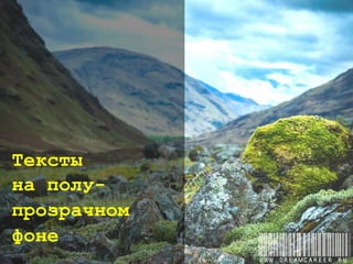 Тексты
на полу-
прозрачном
фоне
www.dreamcareer.ru
 