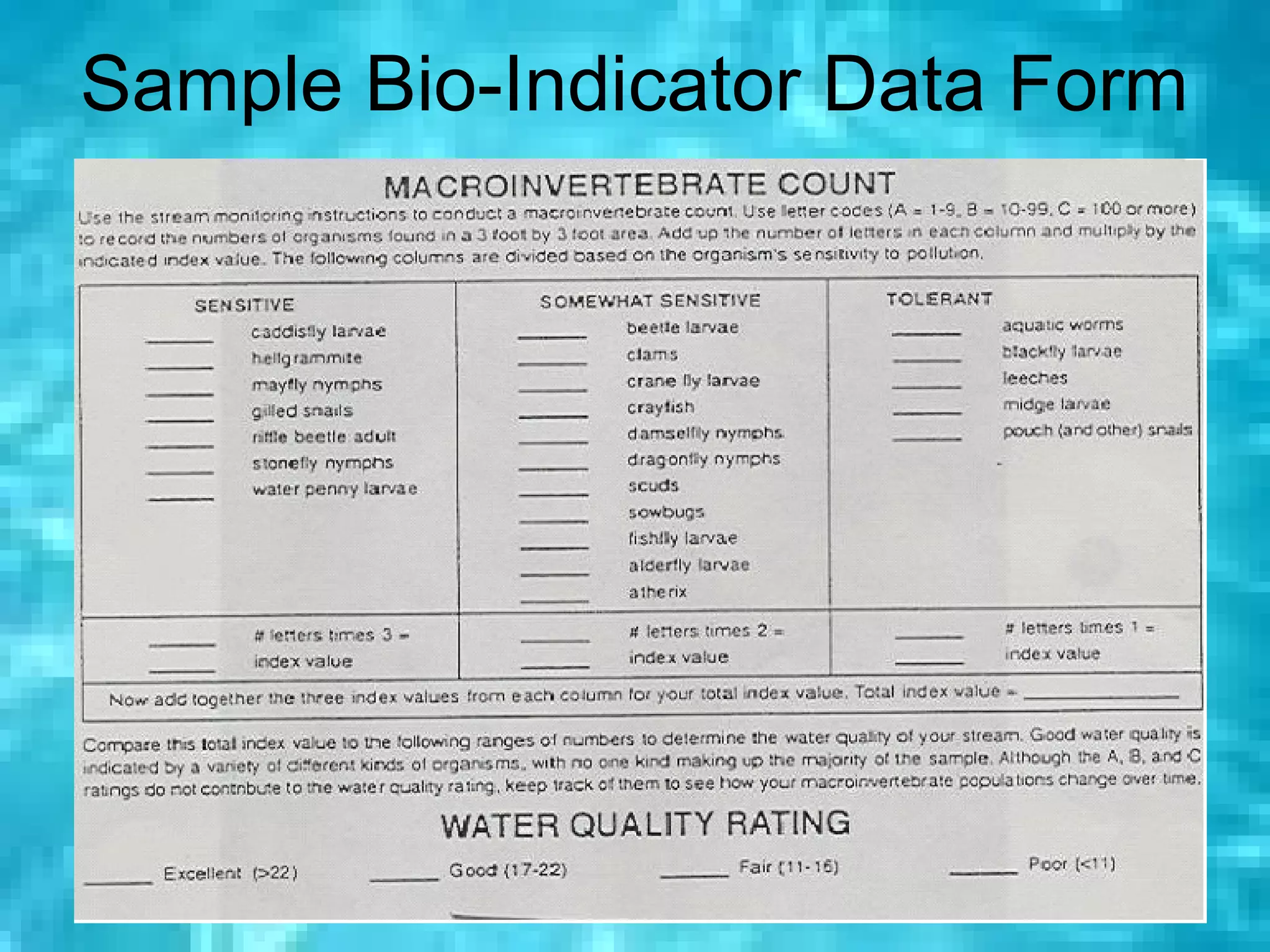 Sample Bio-Indicator Data Form




                      53
 