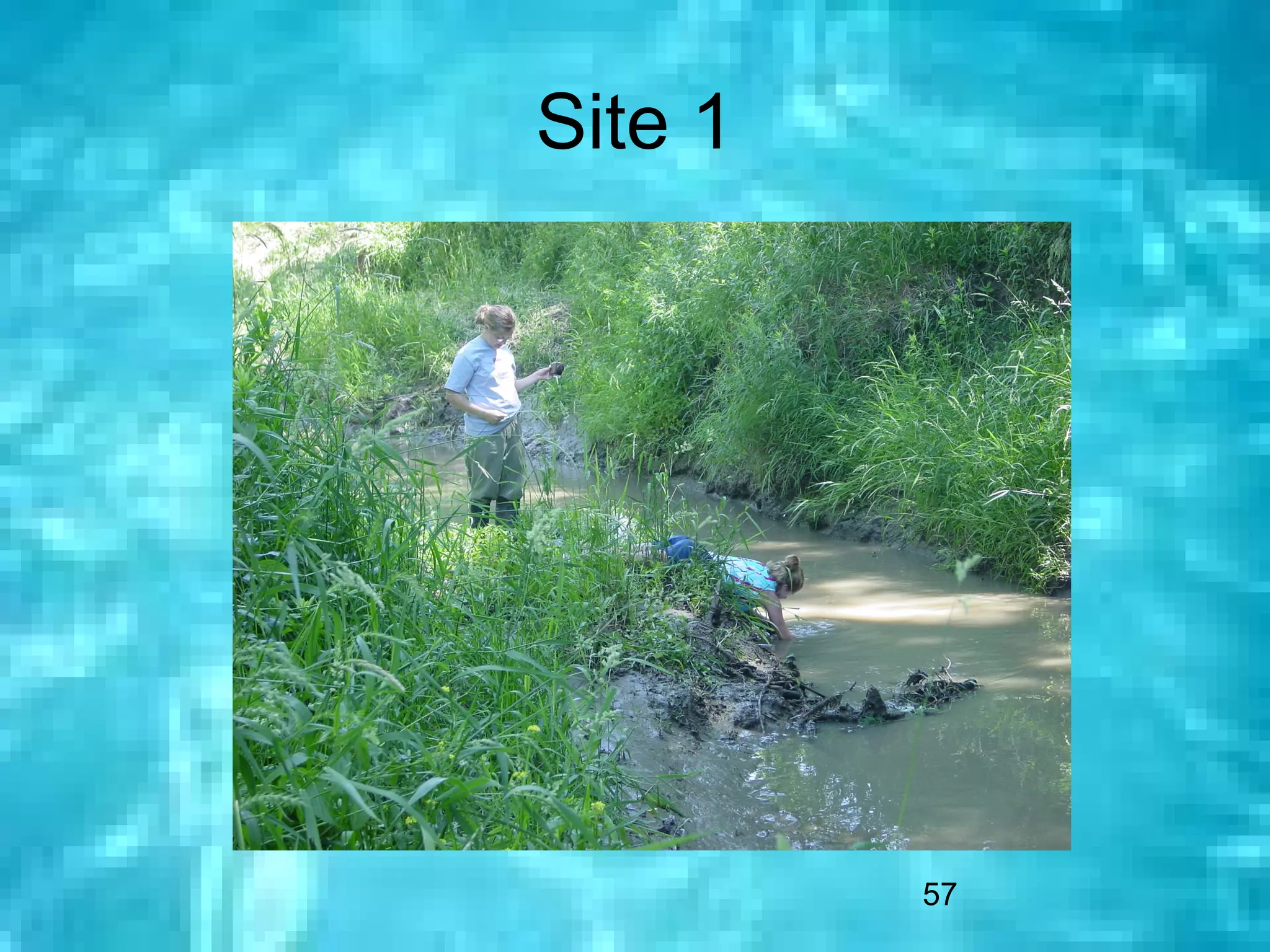 Site 1




         57
 