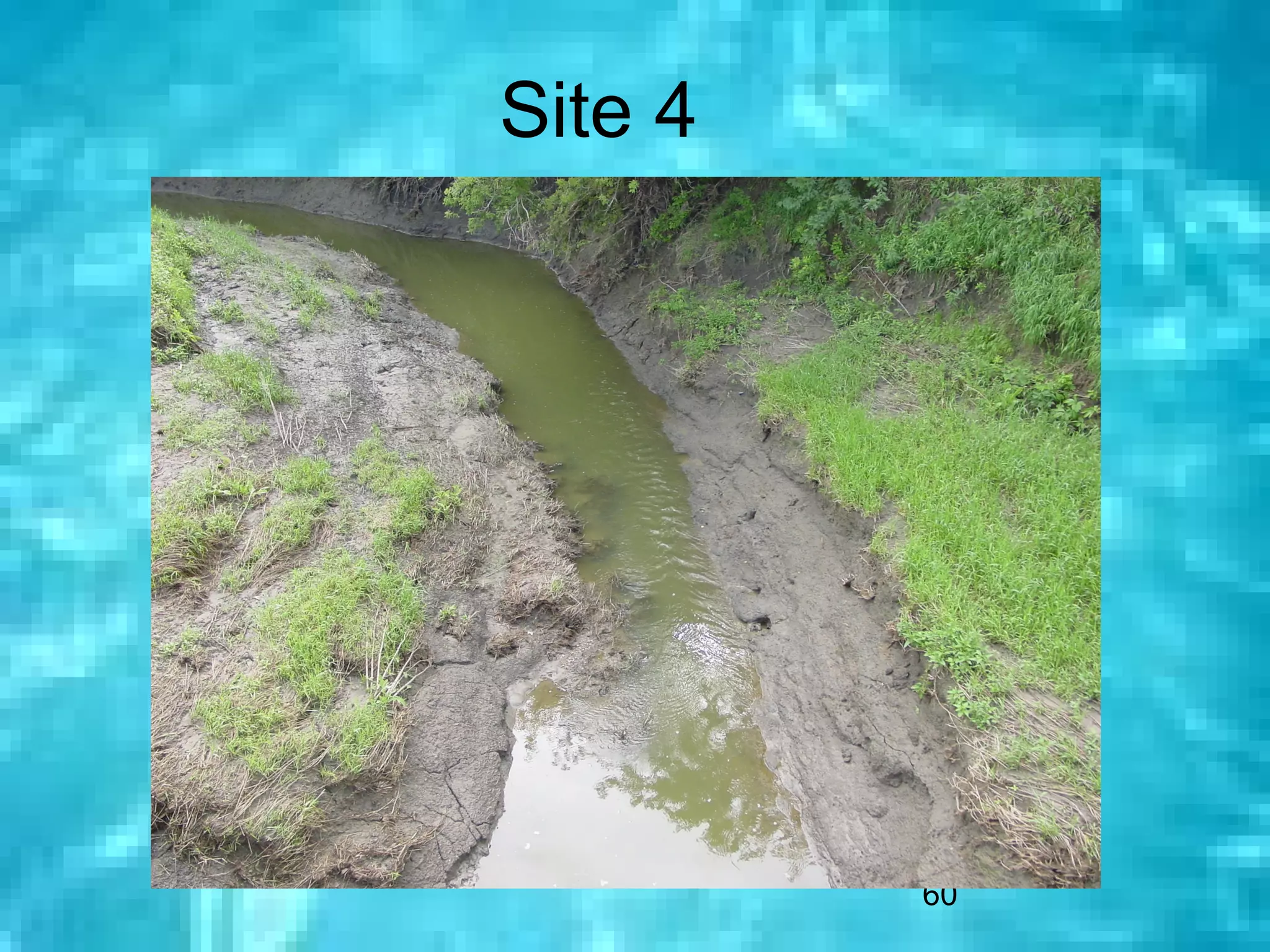 Site 4




         60
 