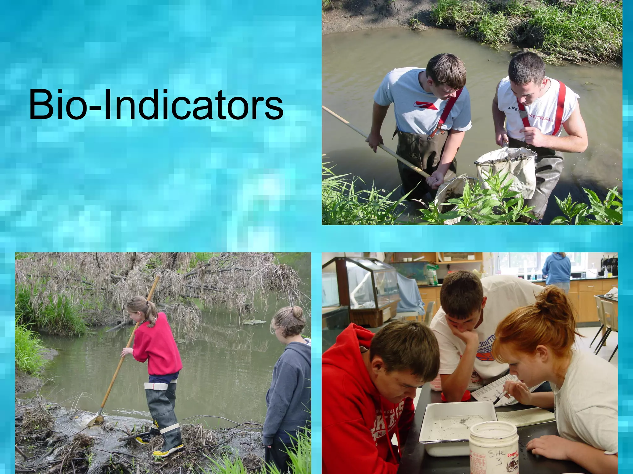 Bio-Indicators




                 65
 