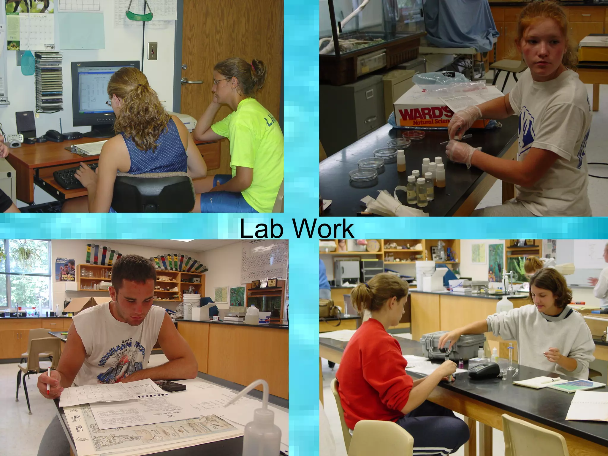 Lab Work




           66
 