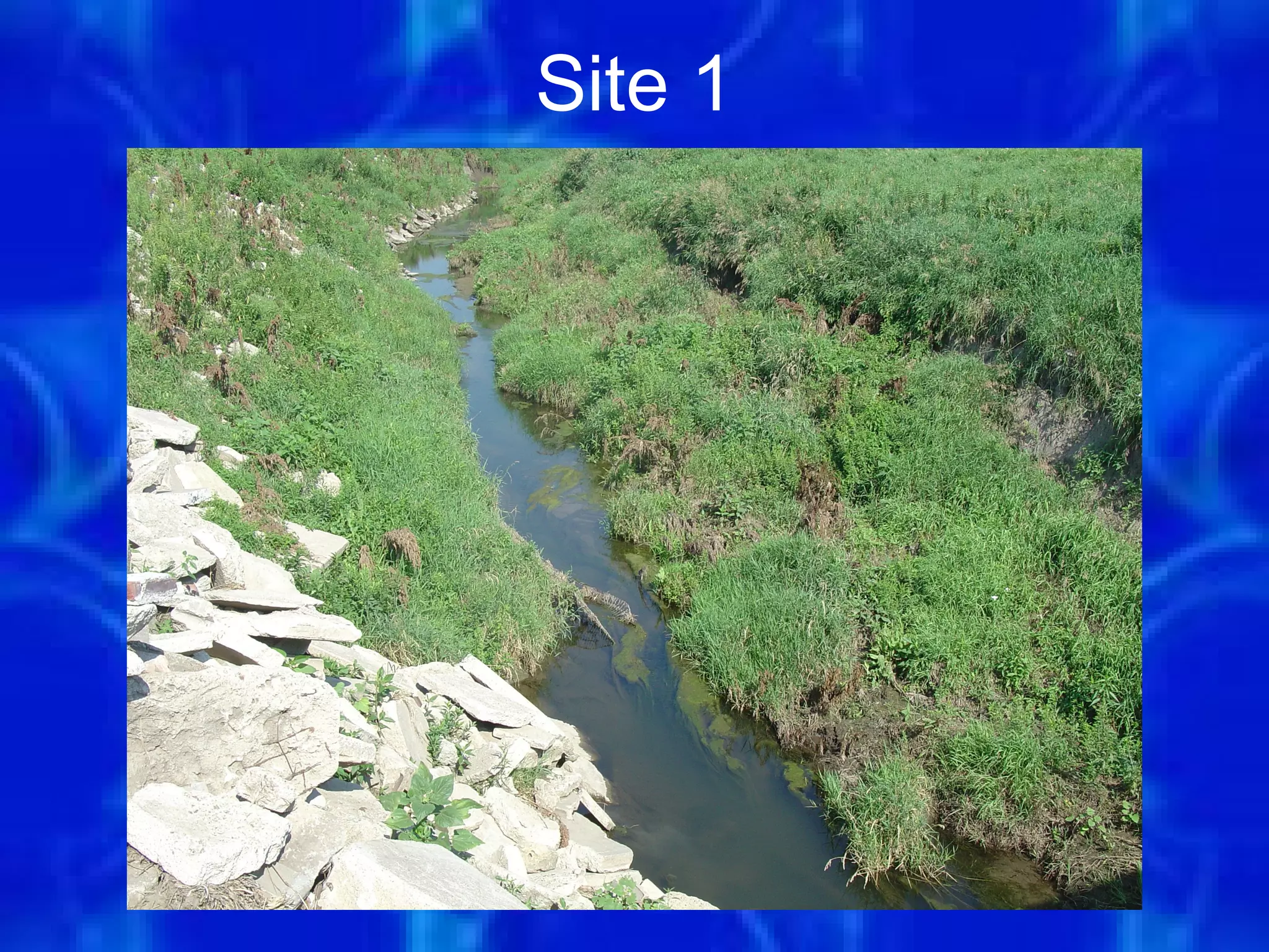 Site 1




         3
 