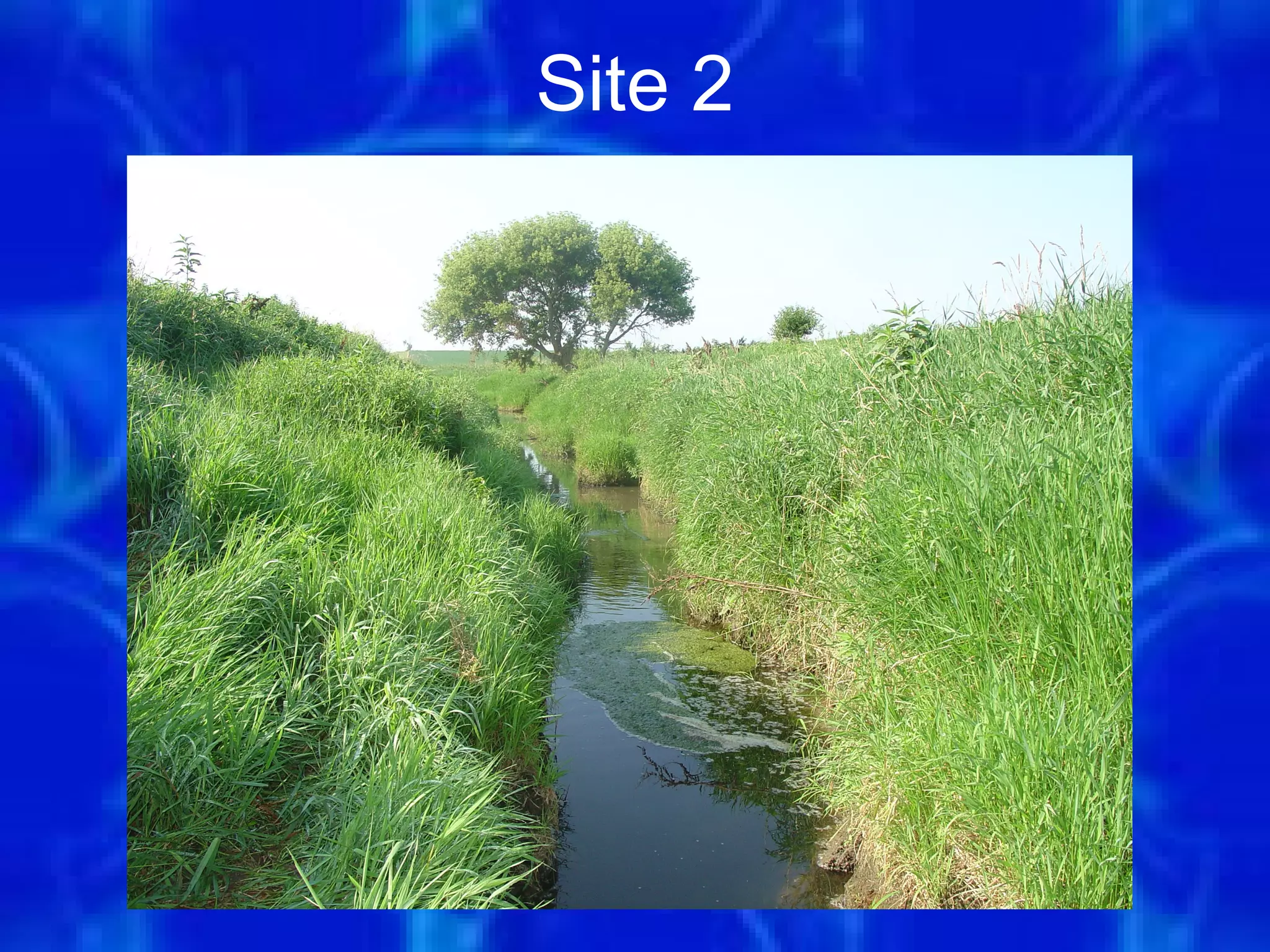 Site 2




         4
 