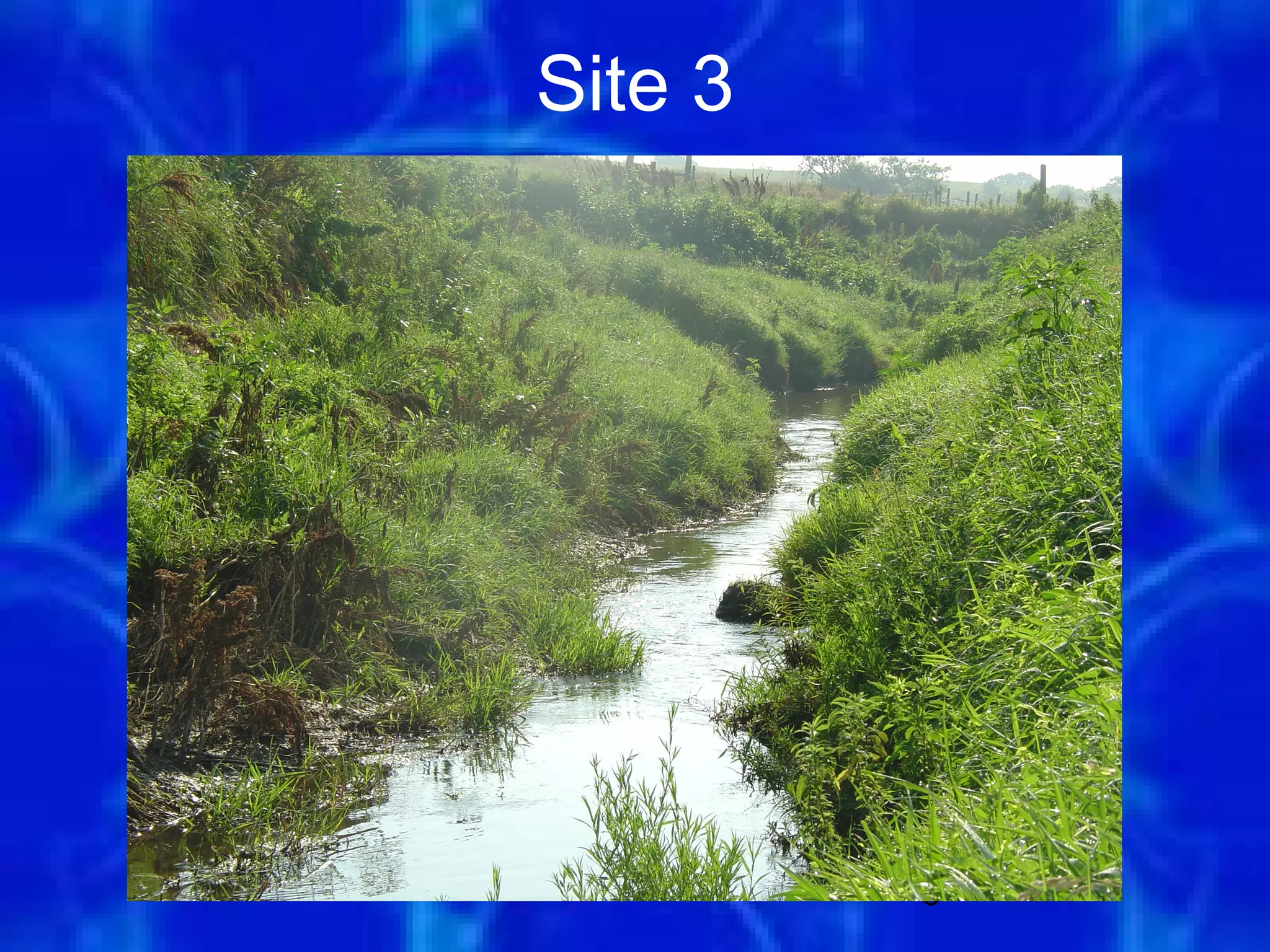 Site 3




         5
 