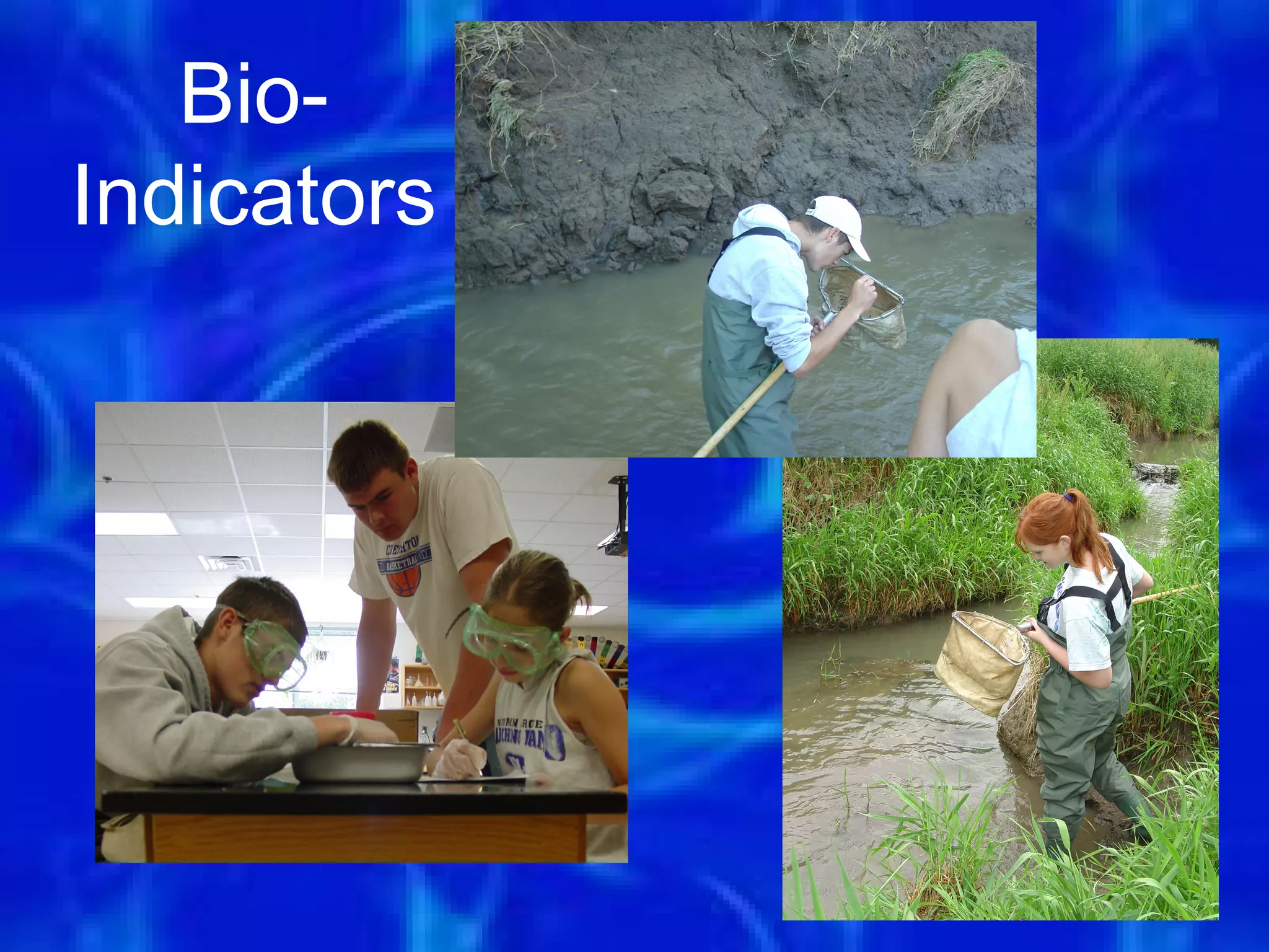 Bio-
Indicators




             64
 