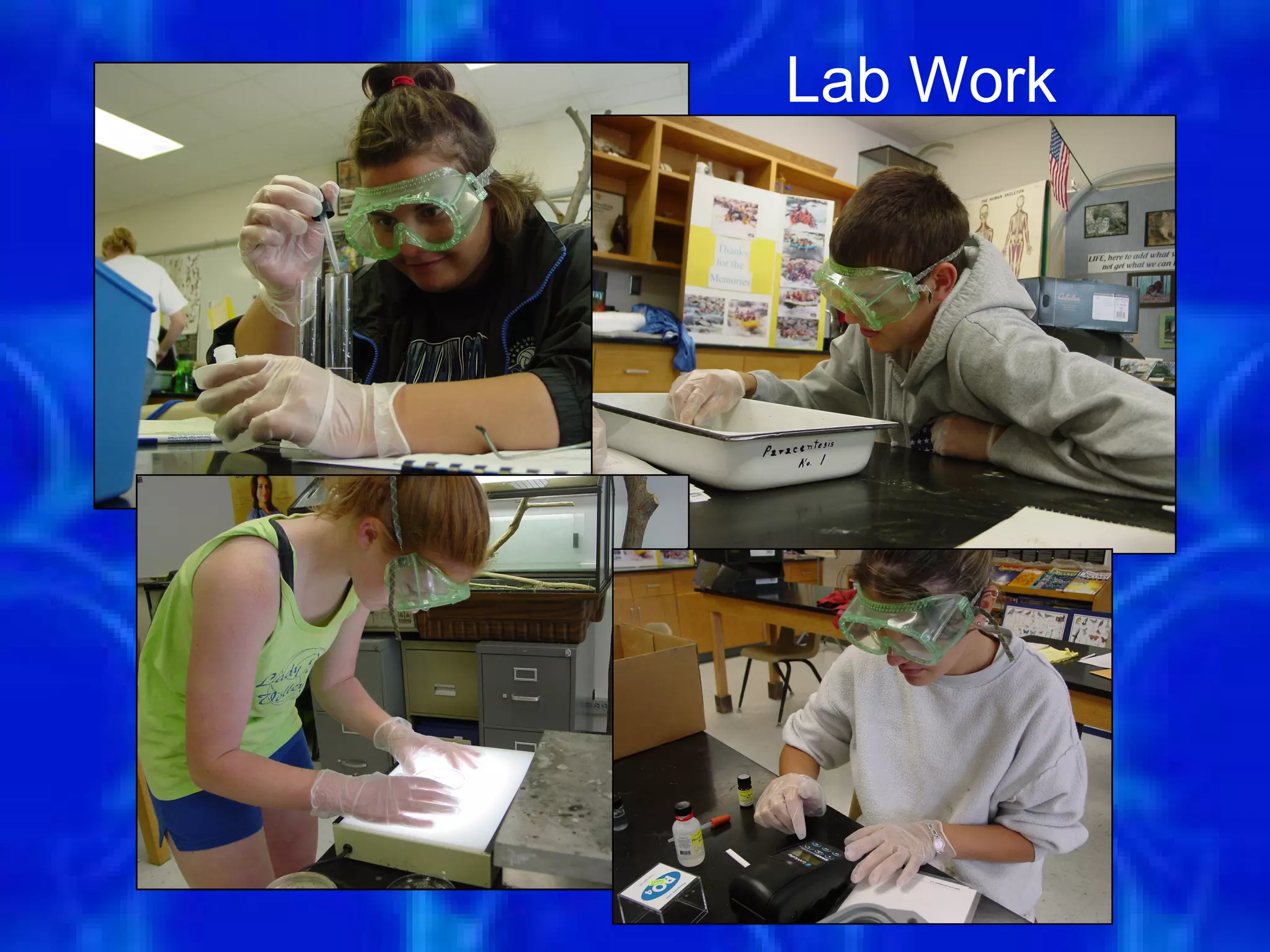 Lab Work




    65
 