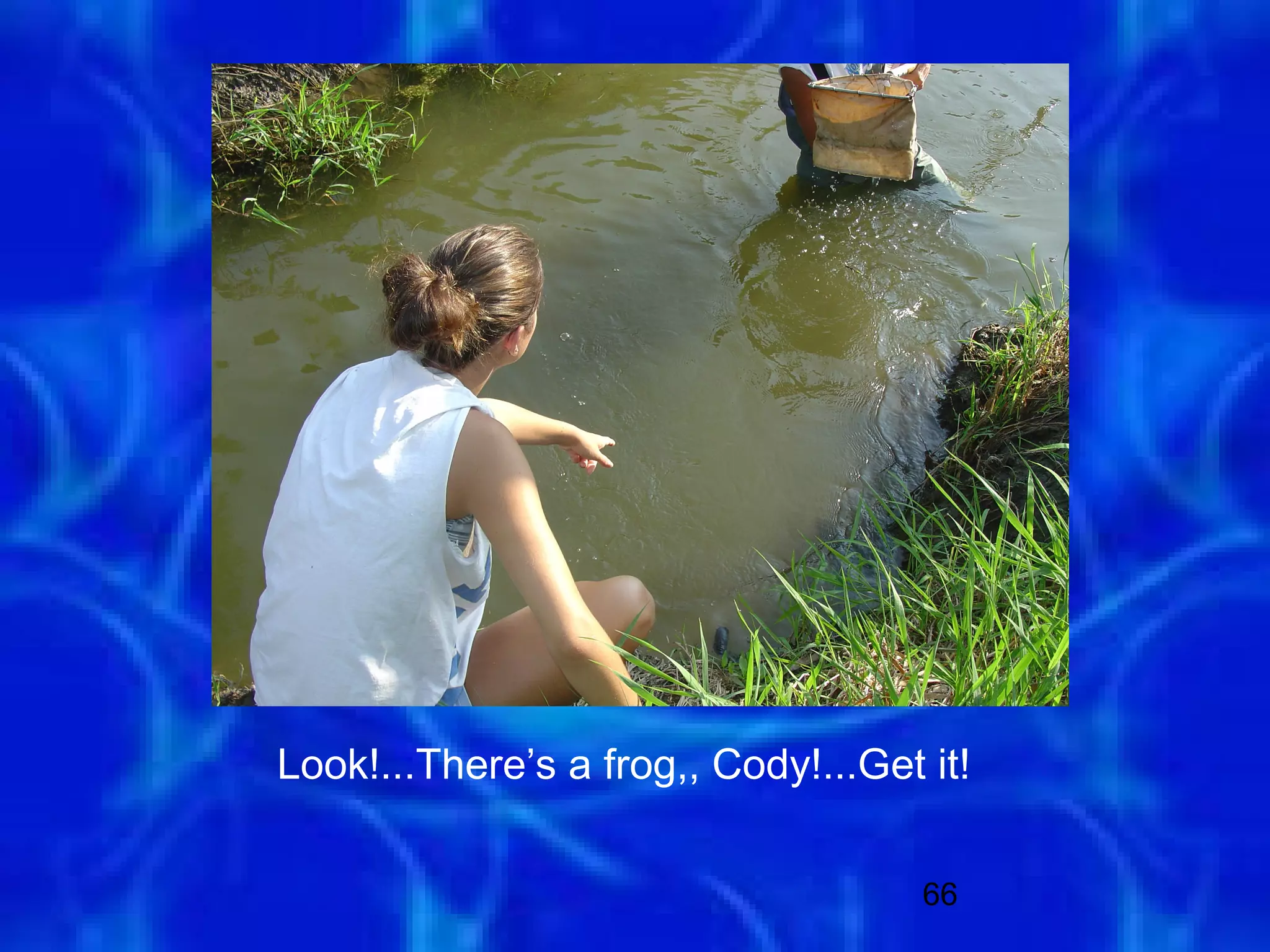 Look!...There’s a frog,, Cody!...Get it!

                                     66
 