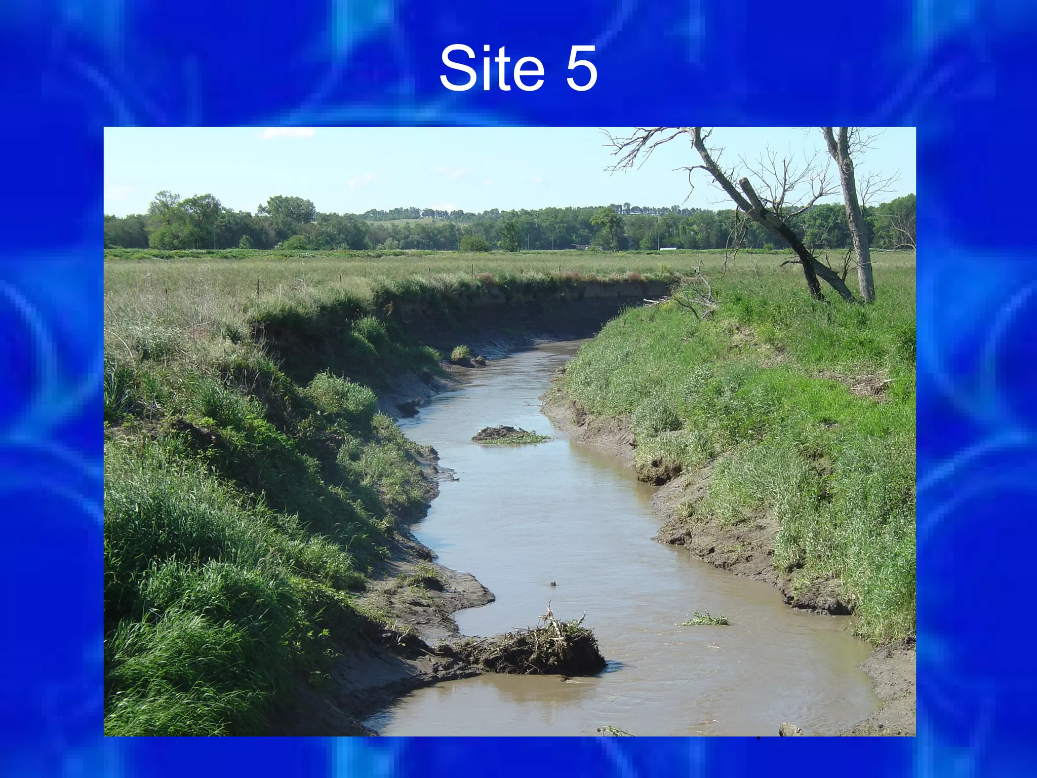 Site 5




         7
 