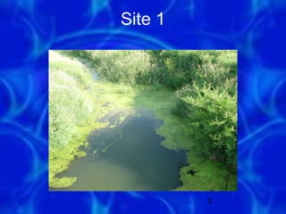 Site 1




         3
 