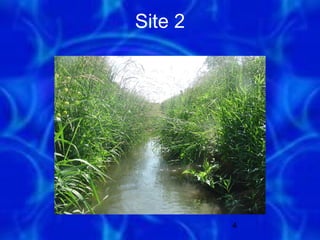 Site 2




         4
 