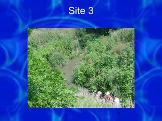 Site 3




         5
 