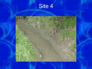 Site 4




         6
 