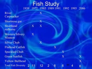 Fish Study
                1939 1972 1985 1989 1991 1992 1995 2006
River                       X
Carpsucker
Shortnose gar               X
Shorthead             X     X
redhorse
Western Silvery       X
Minnow
Silver Chub                 X
Flathead Catfish                     X
Speckled Chub                            X
Green Sunfish                            X            X
Yellow Bullhead                                       X
Total Fish Diversity 2 11   12   2   8   6   64   4   6
 