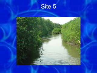 Site 5




         7
 