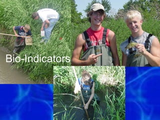 Bio-Indicators



                 73
 