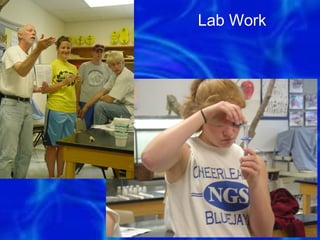 Lab Work




    74
 